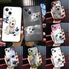 Westie Dog Case For iPhone 15 12 14 Pro Max 11 13 Mini Plus XR X XS Max Phone Back Cover