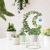 2PCS Small Crescent Moon Plant Trellis, Metal Mini Hoya Support for Indoor Potted Houseplants, Climber with Healing Agate for Hoya Vine Pothos Ivy