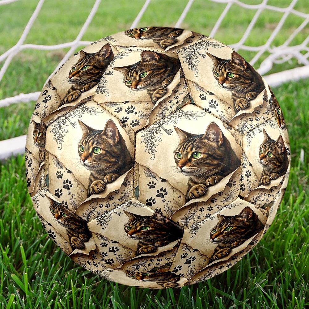 1pc Cat Key Artwork Theme Soccer Ball Football, Size 5, Lightweight PVC, Outdoor Training Soccer Ball,Gift C6590