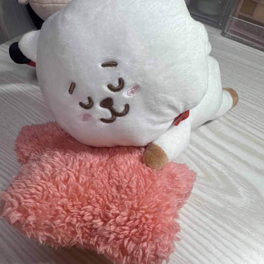 [USED] K-POP idol plush toy, approximately 30cm, with tag, BTS Jin, Ichiban Kuji