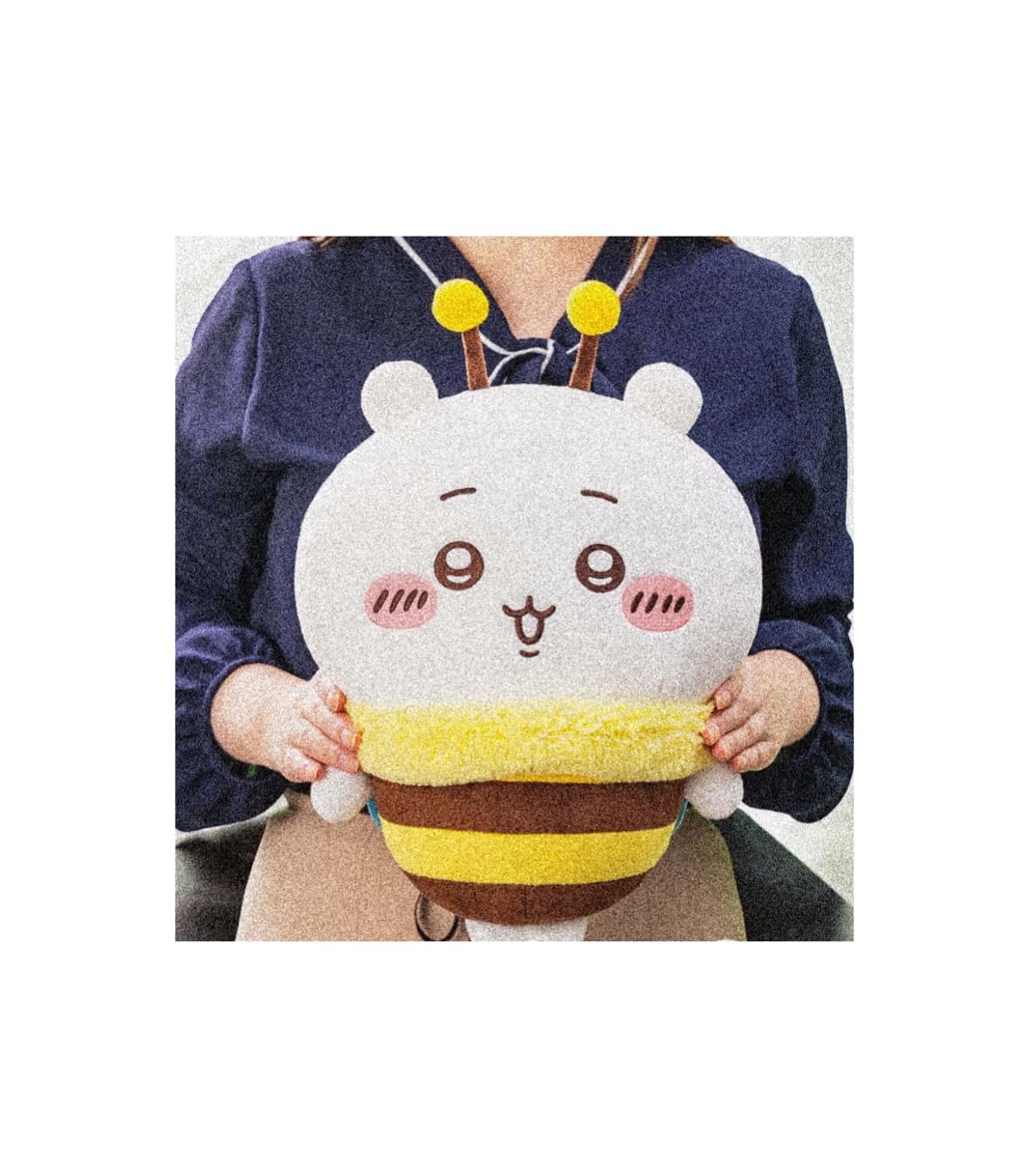 

Big Plush Official Merchandise Hachi-san Toy, Approx. 35cm, (Chii)