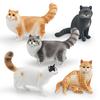 Ragdoll Katze Somali Katze Figur Für Kinder PVC Tier Modell Katze Zum Lernen Spielen