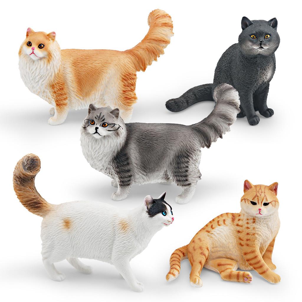 Ragdoll Katze Somali Katze Figur Für Kinder PVC Tier Modell Katze Zum Lernen Spielen