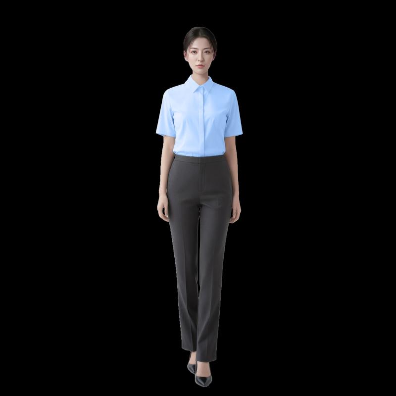 

JOUYA SENSE Women s Executive Short Sleeve Shirt 42