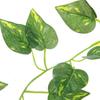2m Artificial Leaf Vine Scindapsus Aureus Plant Garland for Reptiles Terrarium