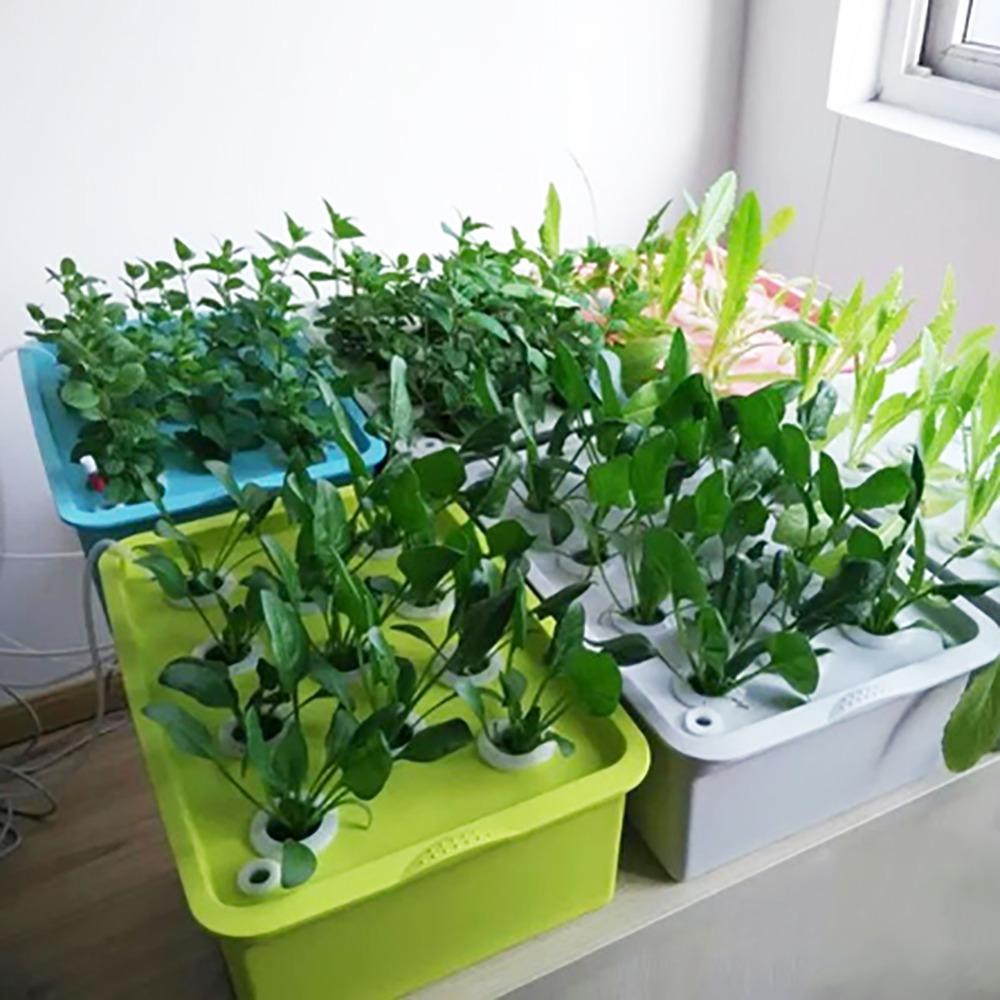 220V/110V 24 Holes Hydroponic Kit with Oxygen Pump Indoor Garden Cabinet Box Bubble Nursery Pots Cultivation Box 1 Set