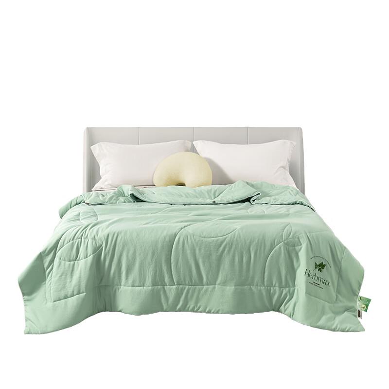 SOFTNIE Wormwood Infused All-Season Quilt