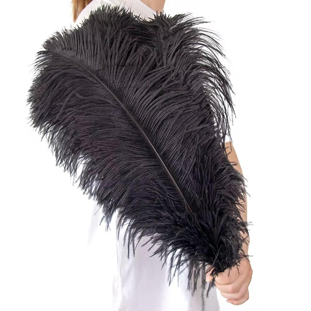 15-60Cm Natural Ostrich Feathers | High-Quality For Diy, Wedding, Party, Stage, Costume & Home Decor | Various Colors Available