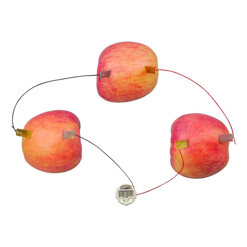 Bilim Deneyi Meyve Gücü Üretimi Çinko Bakır Parçalar Teknoloji Küçük Yapım Öğrenciler Küçük İcat Fizik Deneyi Malzemesi Oyuncaklar