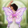 Halloween Costume Wing Butterfly Wing Dress Up Angel Wing Colorful Fairy Wing