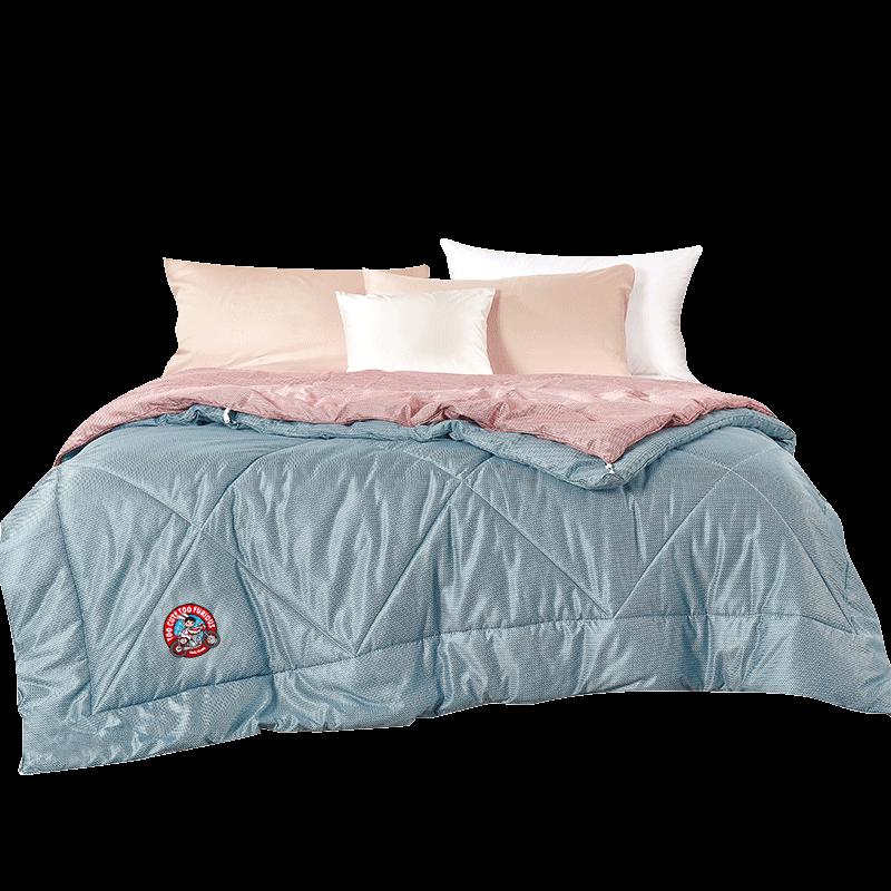 Paul Frank Dual-Core All-Season Comforter