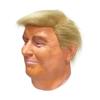 Halloween Realistic Celebrity Mask Donald Trump Mask Presidential Candidate Mask Latex Full Head Mask Headwear for Adult