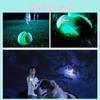 Chuckit Bola Brilhante Grande Brinquedo Durável para Cães Busca Noturna Treino Brincadeira de Animal de Estimação