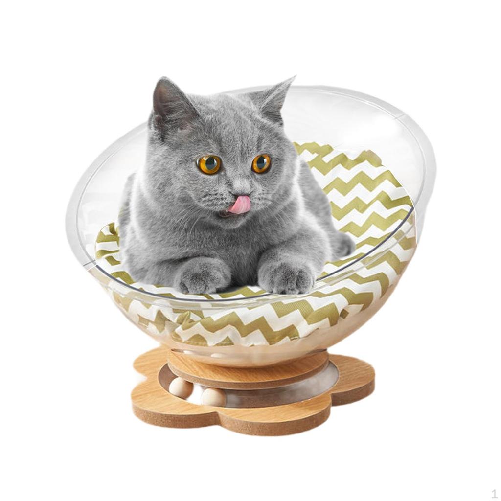 Cat Bed in Space Capsule Shape, Nest, Stable, for All, Transparent, Easy to Handle Furniture
