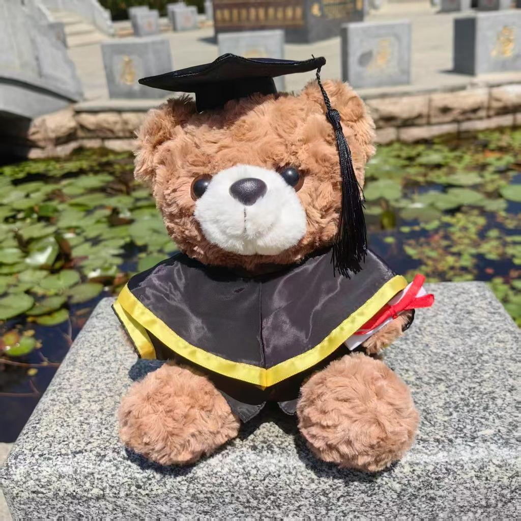 Abschluss Teddybär Stoffpuppe Bachelor Master Doktor Kleidung Puppendesign Geschenk Doktor Bär
