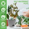 3 Pcs Self Watering Flower Pot Hydroponics Plants Pot with Reservoir Plastic Automatic Water Absorption Indoor Plant Cotton Rope