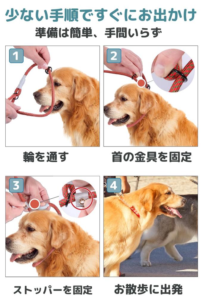 Slip Lead by Cesar Millan Length Thickness by Dog for medium and large dogs Regular small and medium Approximate weight under [Genuine Product] 120cm,