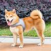 Zugfreies Hundegeschirr Atmungsaktives Hundegeschirr mit reflektierender Leine Verstellbare Passform Netzwesten-Geschirr