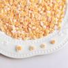 Summer Vitality Bud Rose Nail Art Accessories Ins Soda Orange Flower Wearable Nail Material Kit Resin Decorations