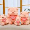 Creative Cute Pig Plush Toy Cute Doll Doll Pillow Doll Machine Birthday Gift Girl