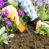 Herramienta Manual para Quitar Malas Hierbas con Lazo Manual Herramienta Manual para Deshierbar Herramienta para Trasplantar en Jardinería Herramientas para Quitar Malas Hierbas de Raíz Profunda Suministros de Jardinería