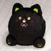 PP Cotton Calico Cat Plush Toys with Hand Pocket Black Cat Plush Doll  Birthday Christmas