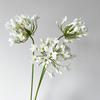 Artificial Agapanthus Flower Stem Likelike for Wedding Decor Home Wedding Centerpiece Arrangement Floral Display White Purple