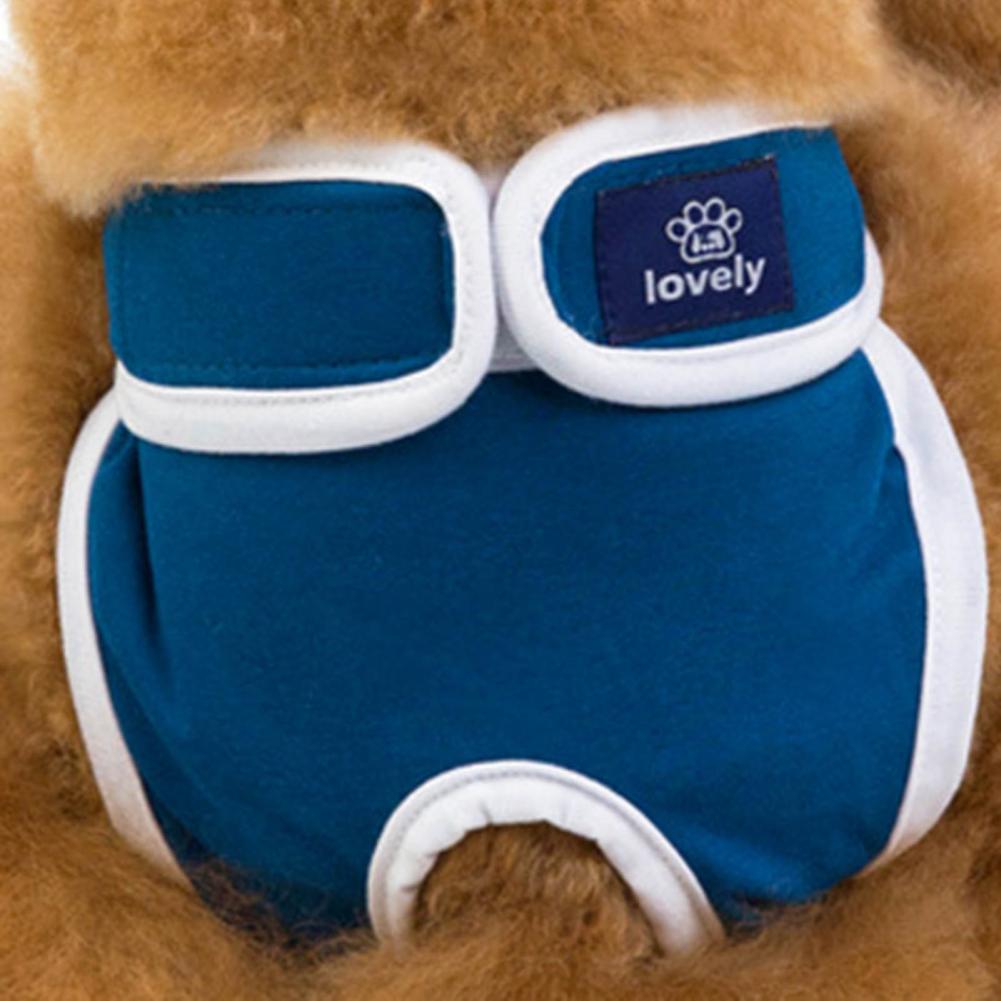Haustierwindeln Hosen Elastischer Bund Hundeshorts Atmungsaktiv Anti-Belästigung Welpenhosen Windeltuch Sicherheit Physiologische Hosen