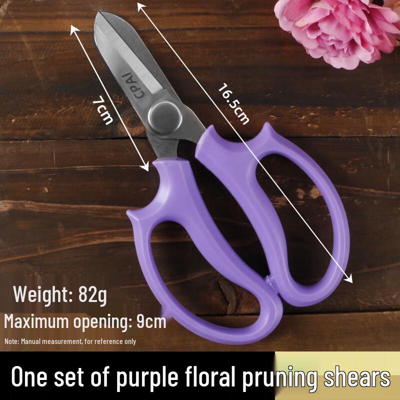 WEDO Professional Floral Scissors Set CN plug (adapter included)