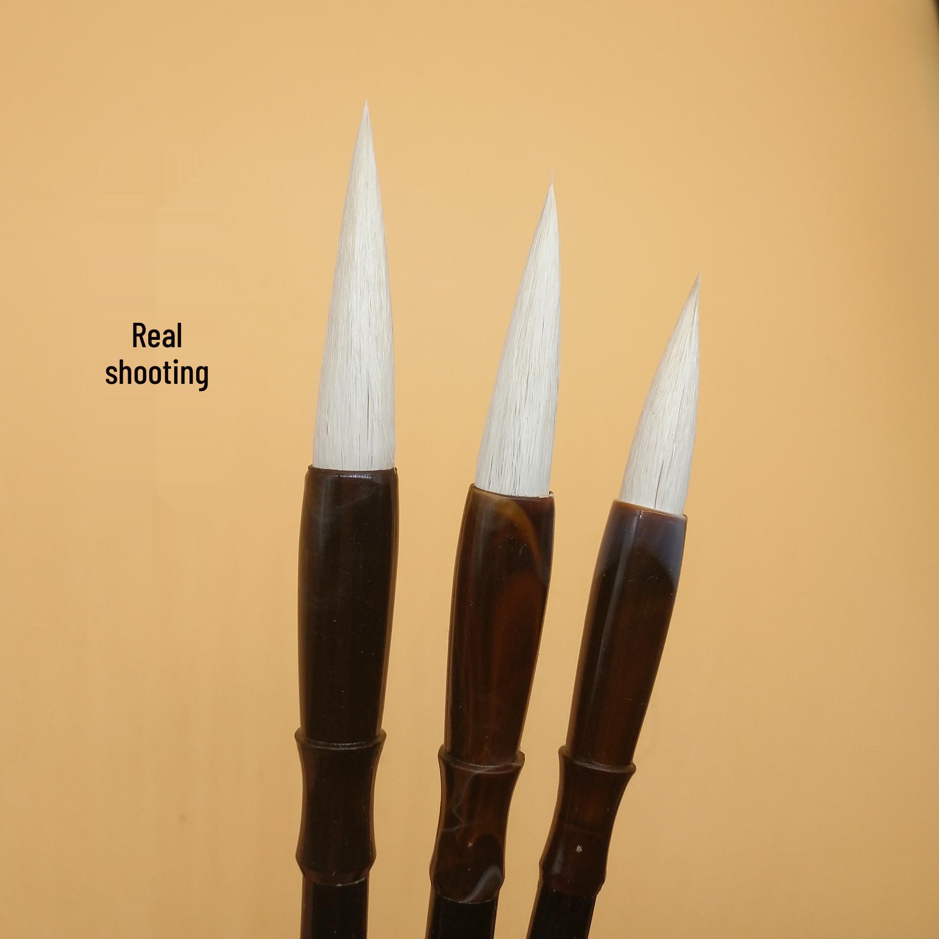 

Beginner Calligraphy Kit: Mixed Hair Brushes, Medium & Small Regular Script, Student Practice Wolf Hair Brushes