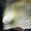 Funny Latex Head Masks Realistic Animal Mask Carnival Party Masks for Halloween