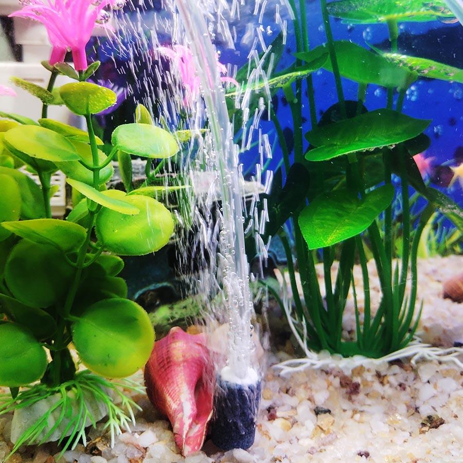 3-12 Stück Zylindrische Luftsteine für Aquarien - Luftpumpenzubehör für Belüftungspumpen für Aquarien und hydroponische Belüftungsplatten