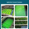 6A Grade Pentagonal Fiber Fish Pond Biochemical Filter Brush for Sound Absorption in Fish Tanks