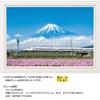 500 Piece Jigsaw Puzzle Astragalus Flowers and Mt. Fuji (Shizuoka) Compact Piece (26x38cm)