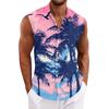 Men's Hawaiian Lapel Button-down Shirt T-shirt Top