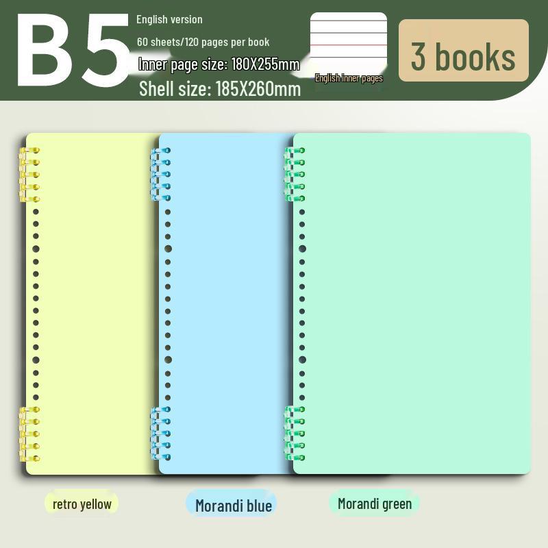 B5 Thick Loose-Leaf English Notebook for Elementary School - High-Value, Handwritten Practice Book