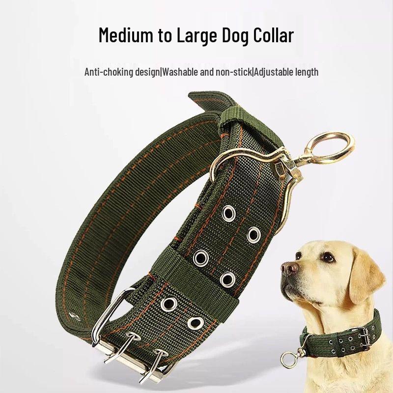 Double Row Dog Collar & Leash Set for Medium To Large Dogs
