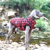 Autumn and Winter New Christmas Pet Clothes Big Dog Reflective Outdoor Jacket Dog Warm and Cold Cotton-padded Clothes