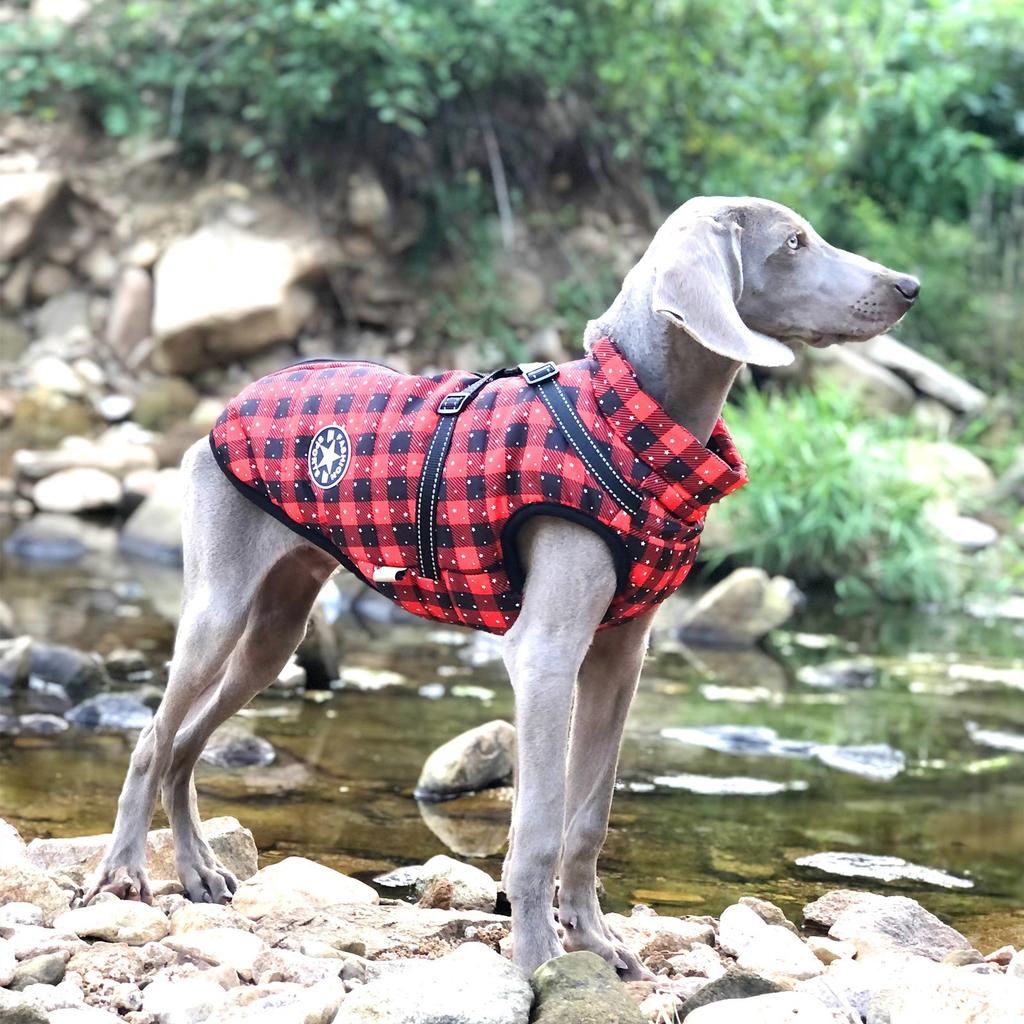 Autumn and Winter New Christmas Pet Clothes Big Dog Reflective Outdoor Jacket Dog Warm and Cold Cotton-padded Clothes