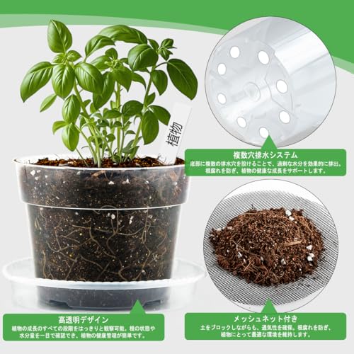 Set of 15 Transparent No. 5 Planter Pots with Drainage Holes, Bottom Netting, and Saucers for Houseplants, Succulents, and Cacti, Prevents Root Rot, R