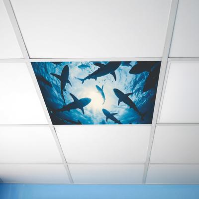 Mondo Sottomarino Squalo Camera da Letto Soggiorno Studio Adesivi da Soffitto Abbellimento e Decorazione