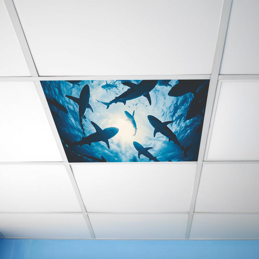 Underwater World Shark Bedroom Living Room Study Ceiling Beautification and Decoration Stickers
