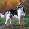 KOOLTAIL Dog Socks to Prevent Licking Paws for Hardwood Floors Anti Slip, Winter Warm Pet Boots&Paw Protector with Grippers, Double Sides Dog Shoes