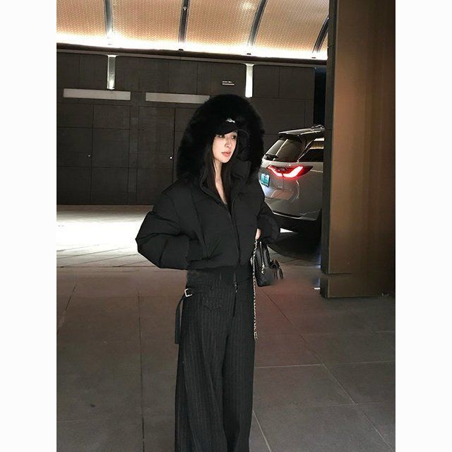 Simple Solid Color Short Parka Coat Street Zipper Hooded Short Cotton Clothing  Winter Clothes Women Jacket Women