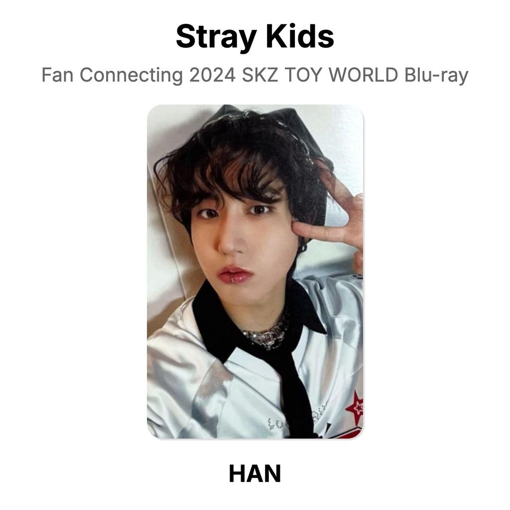 Stray Kids Fan Connecting 2024 SKZ TOY WORLD Blu-ray Official Photocard