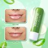 Vaseline Lip Care Aloe Vera Lip Balm Stick 4.8g Pack of 1 Up to 48Hr Moisturization Soft Lips