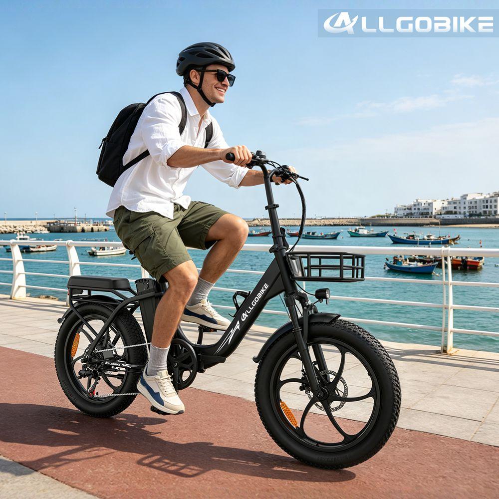 Allgobike AC20 Elektrische Fiets 250W Motor 20" Band Stadsverkeer Elektrische Fiets 48V 20Ah LED Display Maximaal Bereik 60Km 7 Versnellingen Maximaal Laadvermogen 120Kg