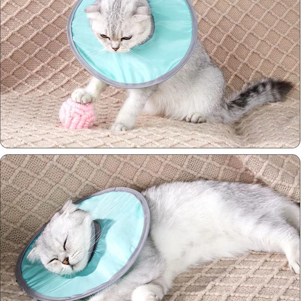 Anti-Slip Pet Cone Collar Protective Pet Recovery Cone Cat Anti-licking Circle  for Wound Heal