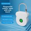 Smart Fingerprint Hanging Luggage Household Lock Student Cabinet Gym Apartment Protective Fingerprint Lock