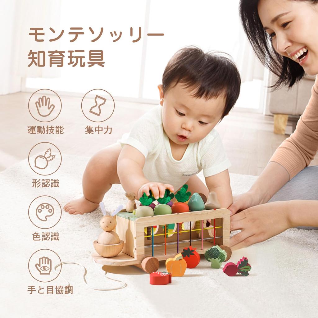 Promise Babe Shape Matching Wooden Puzzle with Carrot and Magnetic Bug Educational Montessori Toy with Shape Rabbit and Farm and Shape Wooden Toy for